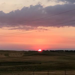 Meet your Posher, Shandy